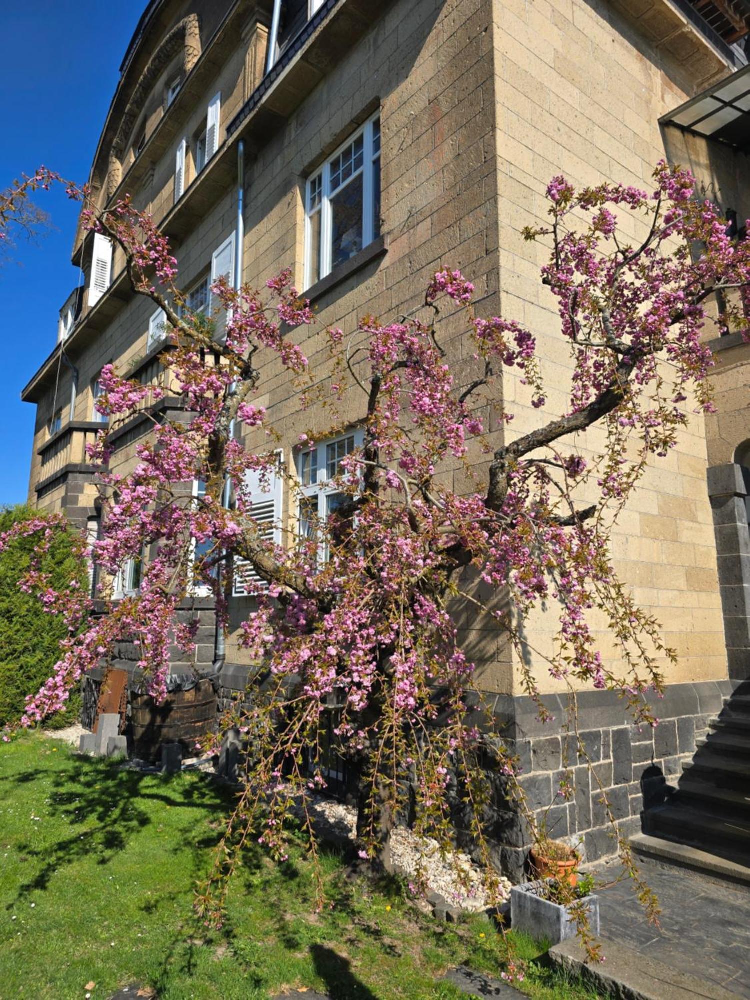 Villa Valerius Kottenheim Eksteriør billede